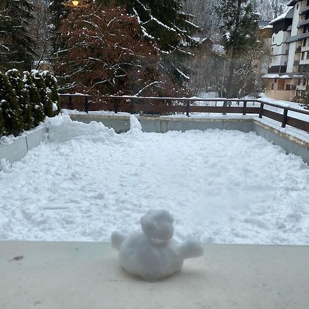 Mont Blanc View Chamonix Apartment 外观 照片